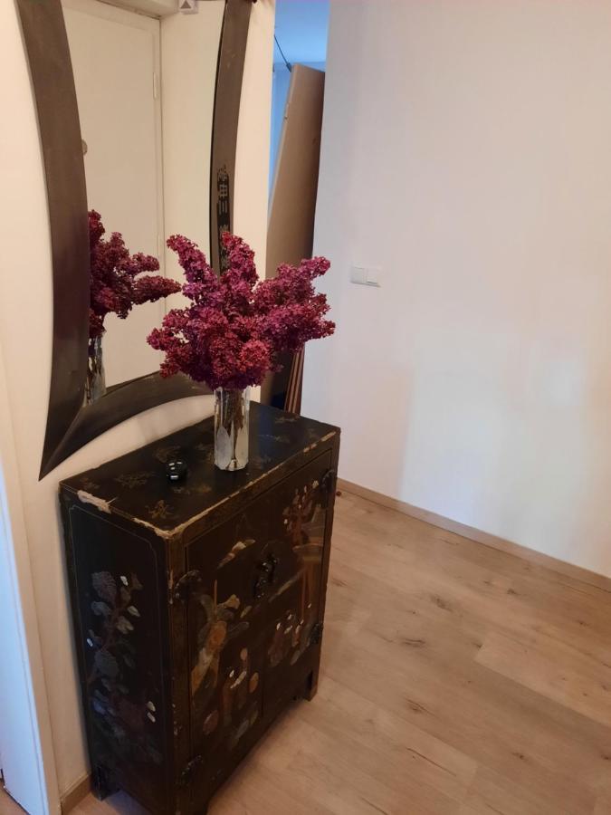 Schoene Wohnung In Der Grazer Innenstadt Exterior foto